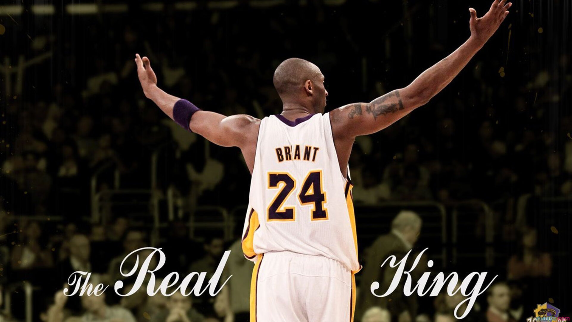 国际特奥融合运动会 健康伙伴与特奥选手并肩作战